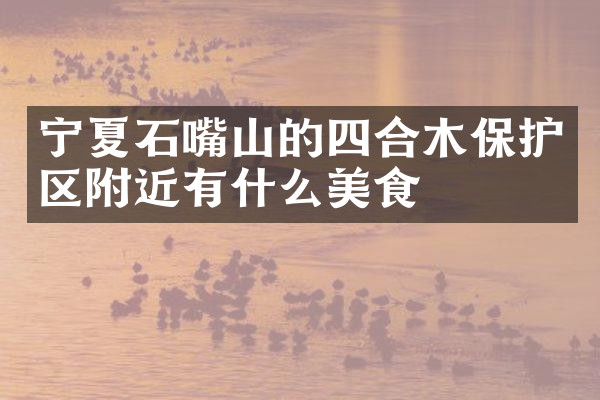 宁夏石嘴山的四合木保护区附近有什么美食