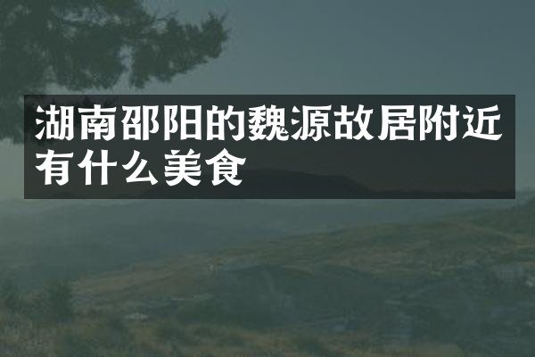 湖南邵阳的魏源故居附近有什么美食