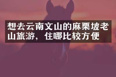想去云南文山的麻栗坡老山旅游，住哪比较方便