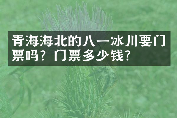 青海海北的八一冰川要门票吗？门票多少钱？