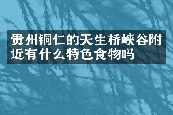 贵州铜仁的天生桥峡谷附近有什么特色食物吗