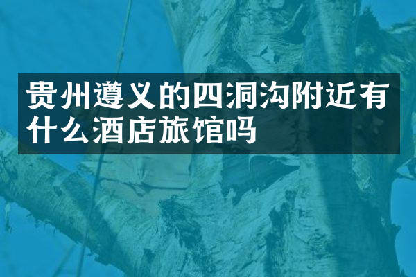 贵州遵义的四洞沟附近有什么酒店旅馆吗
