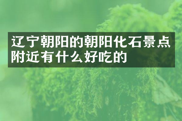 辽宁朝阳的朝阳化石景点附近有什么好吃的
