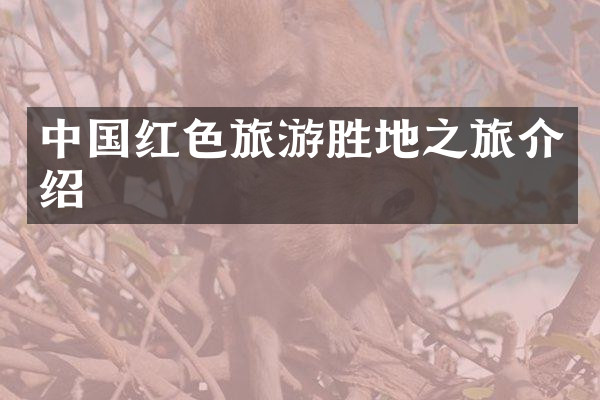 中国红色旅游胜地之旅介绍