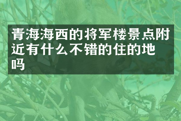 青海海西的将军楼景点附近有什么不错的住的地方吗