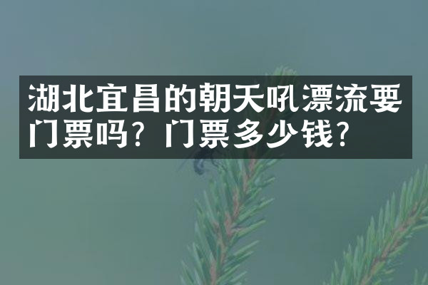 湖北宜昌的朝天吼漂流要门票吗？门票多少钱？