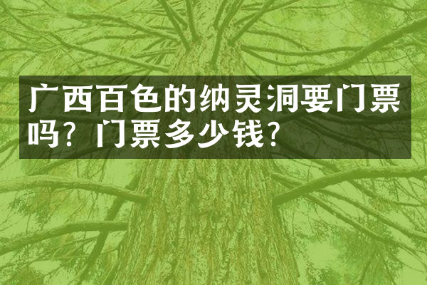 广西百色的纳灵洞要门票吗？门票多少钱？