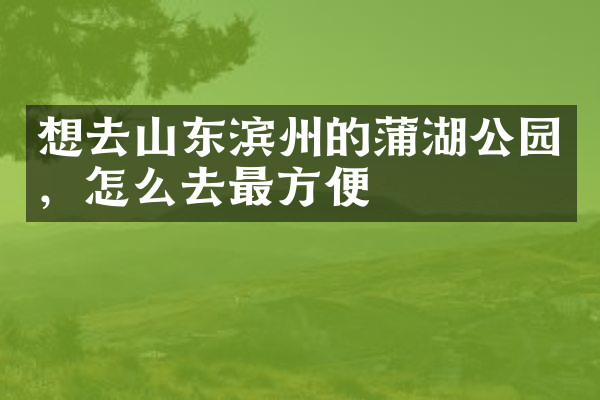 想去山东滨州的蒲湖公园，怎么去最方便