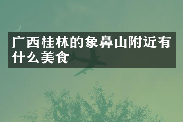 广西桂林的象鼻山附近有什么美食