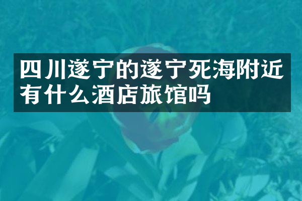 四川遂宁的遂宁死海附近有什么酒店旅馆吗
