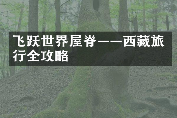 飞跃世界屋脊——西藏旅行全攻略