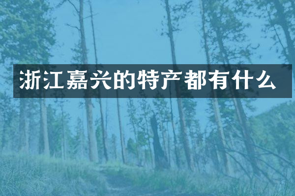 浙江嘉兴的特产都有什么