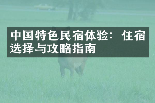 中国特色民宿体验：住宿选择与攻略指南