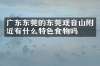 广东东莞的东莞观音山附近有什么特色食物吗