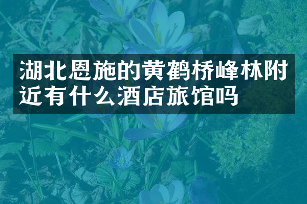 湖北恩施的黄鹤桥峰林附近有什么酒店旅馆吗
