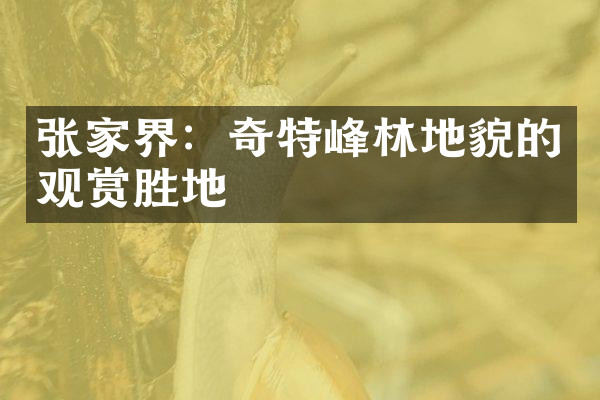 张家界：奇特峰林地貌的观赏胜地