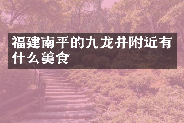 福建南平的九龙井附近有什么美食
