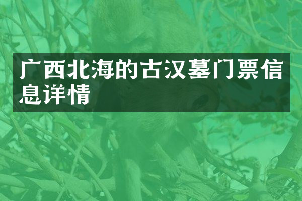广西北海的古汉墓门票信息详情