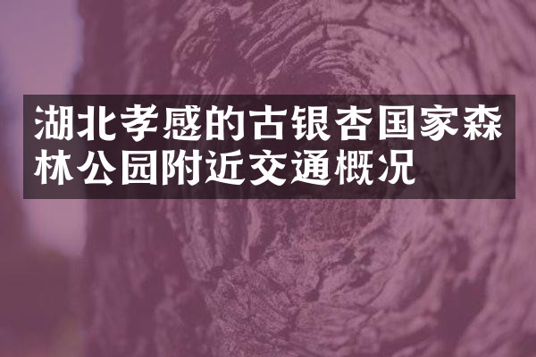 湖北孝感的古银杏国家森林公园附近交通概况