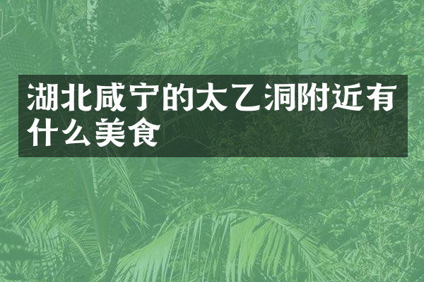 湖北咸宁的太乙洞附近有什么美食