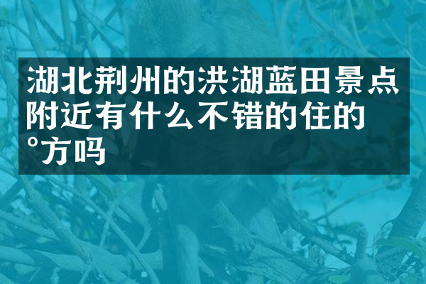 湖北荆州的洪湖蓝田景点附近有什么不错的住的地方吗
