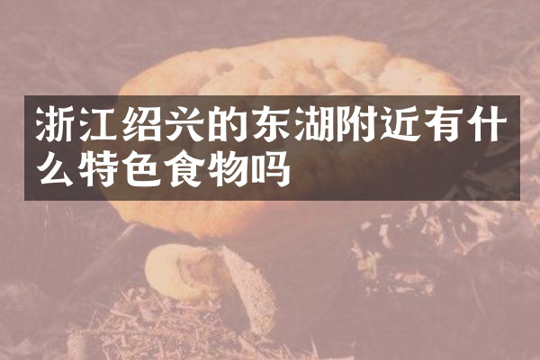 浙江绍兴的东湖附近有什么特色食物吗