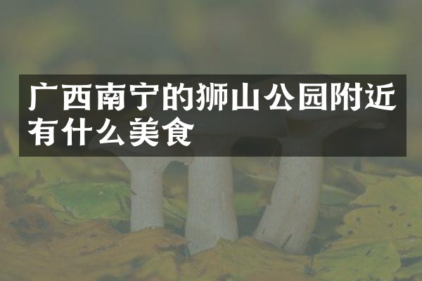 广西南宁的狮山公园附近有什么美食