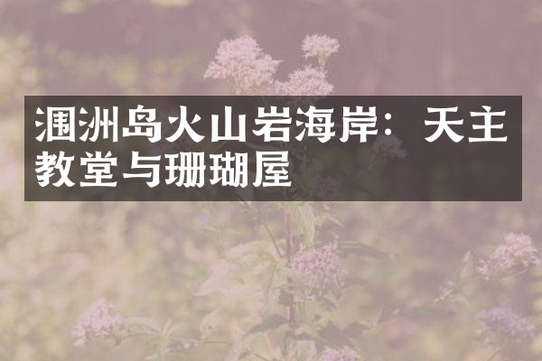 涠洲岛火山岩海岸：天主教堂与珊瑚屋