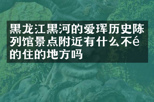 黑龙江黑河的爱珲历史陈列馆景点附近有什么不错的住的地方吗