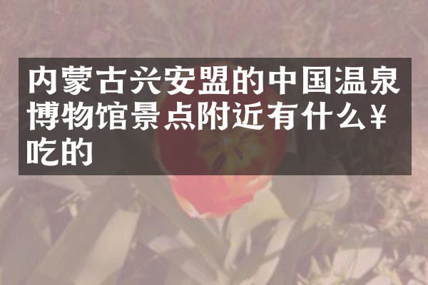 内蒙古兴安盟的中国温泉博物馆景点附近有什么好吃的