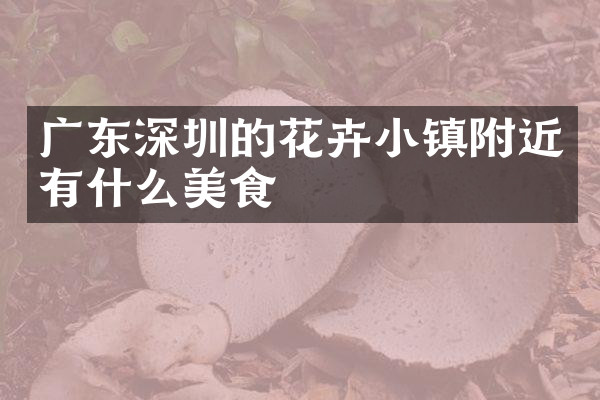 广东深圳的花卉小镇附近有什么美食