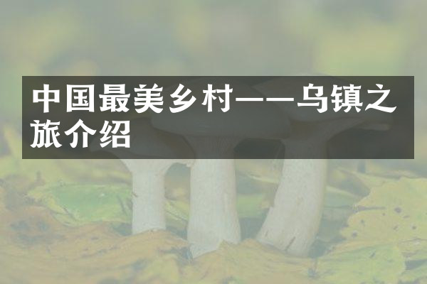 中国最美乡村——乌镇之旅介绍
