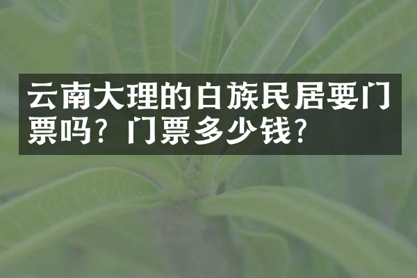 云南大理的白族民居要门票吗？门票多少钱？