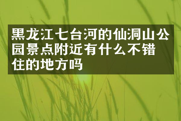 黑龙江七台河的仙洞山公园景点附近有什么不错的住的地方吗