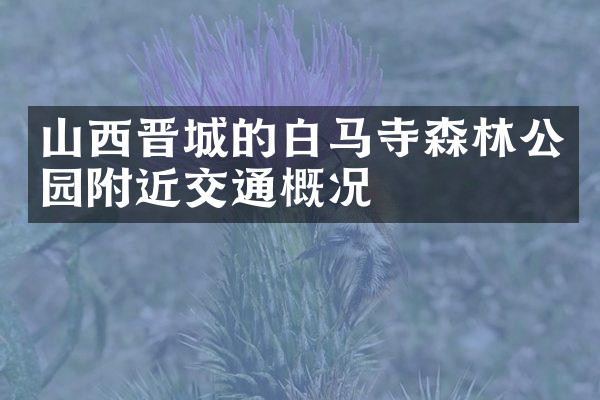 山西晋城的白马寺森林公园附近交通概况