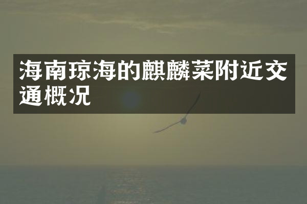 海南琼海的麒麟菜附近交通概况