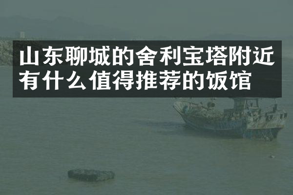 山东聊城的舍利宝塔附近有什么值得推荐的饭馆吗