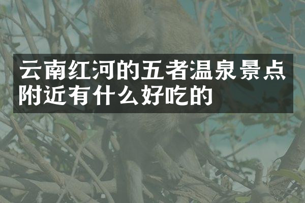 云南红河的五者温泉景点附近有什么好吃的