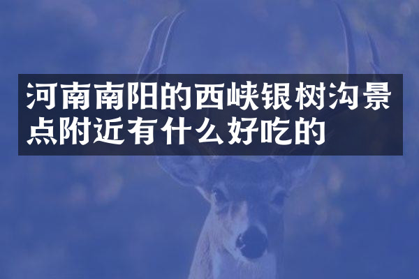 河南南阳的西峡银树沟景点附近有什么好吃的
