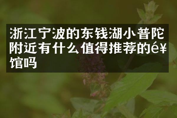 浙江宁波的东钱湖小普陀附近有什么值得推荐的饭馆吗