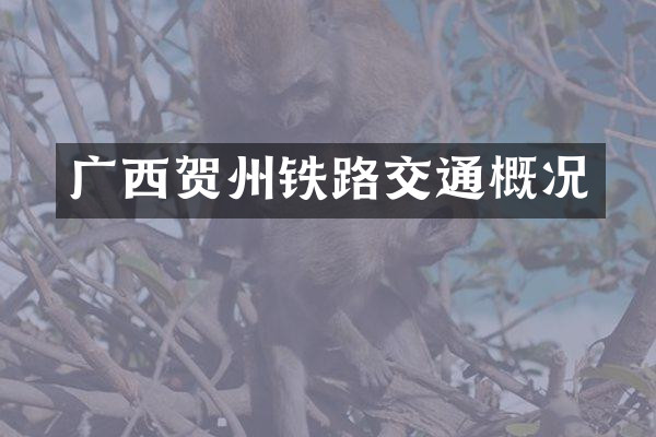 广西贺州铁路交通概况