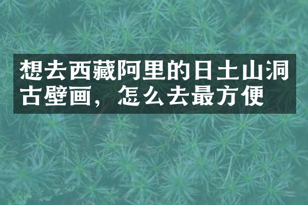 想去西藏阿里的日土山洞古壁画，怎么去最方便