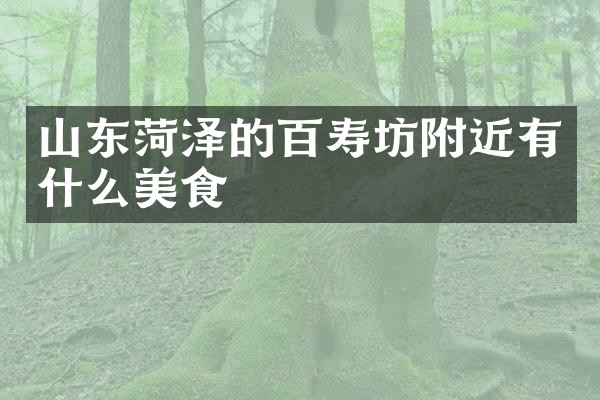 山东菏泽的百寿坊附近有什么美食