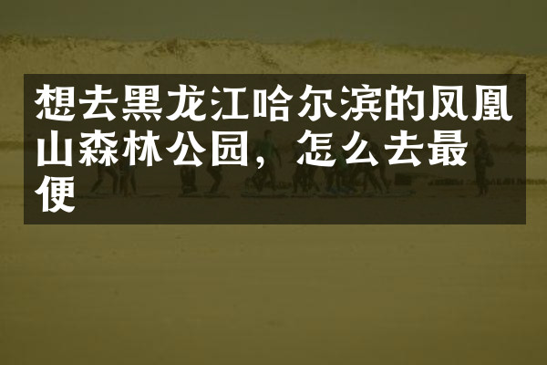 想去黑龙江哈尔滨的凤凰山森林公园，怎么去最方便