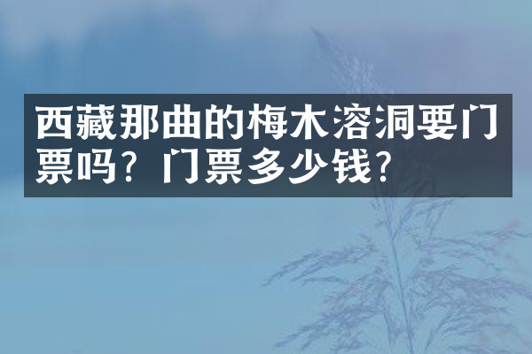 西藏那曲的梅木溶洞要门票吗？门票多少钱？