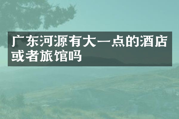 广东河源有大一点的酒店或者旅馆吗