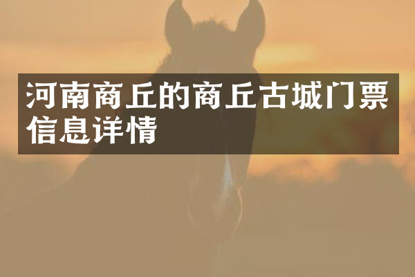 河南商丘的商丘古城门票信息详情
