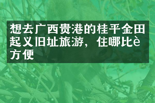 想去广西贵港的桂平金田起义旧址旅游，住哪比较方便