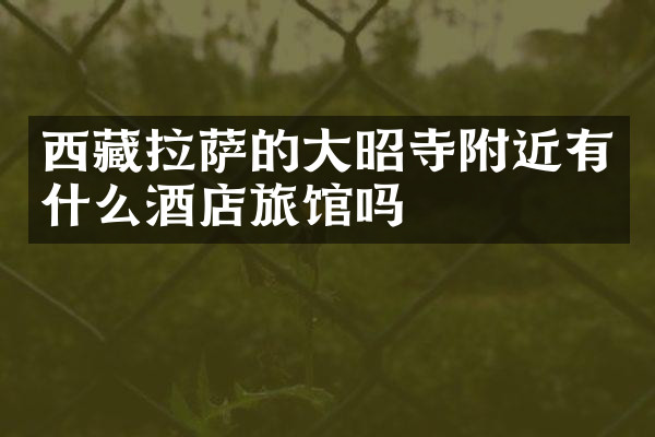 西藏拉萨的大昭寺附近有什么酒店旅馆吗