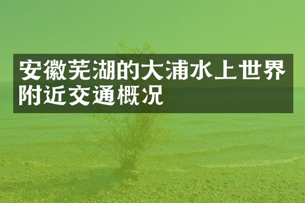 安徽芜湖的大浦水上世界附近交通概况